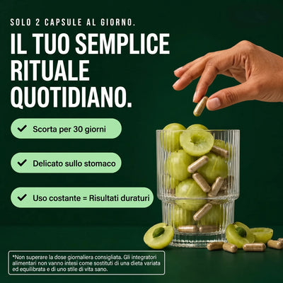 SUPERFRUTA