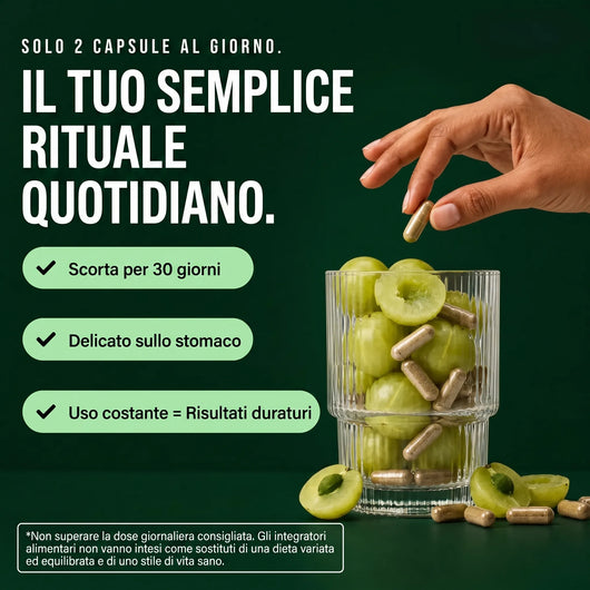 SUPERFRUTA