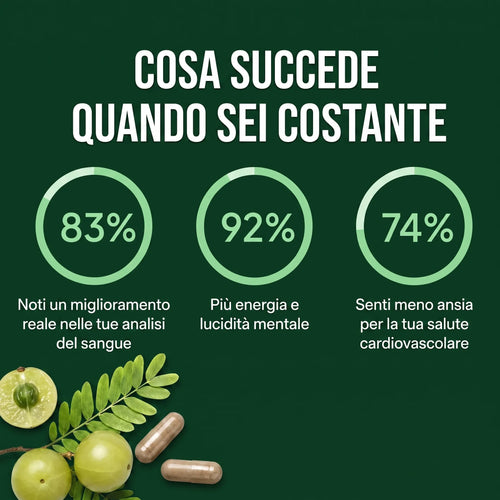 SUPERFRUTA AMLA